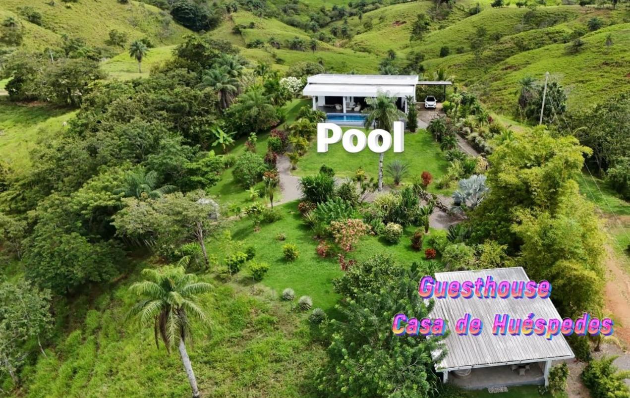 Finca Colibri Boca Chica Eksteriør bilde